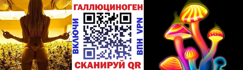 Купить  Печора  Псилоцибиновые грибы Magic Shrooms 